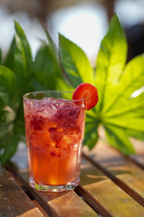 Palaphita — bar
